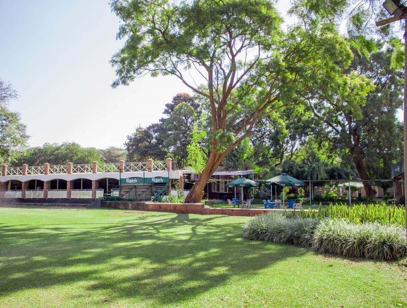 Spacious golf range  and terrace area with shaded seating at a Blantyre restaurant surrounded by trees.