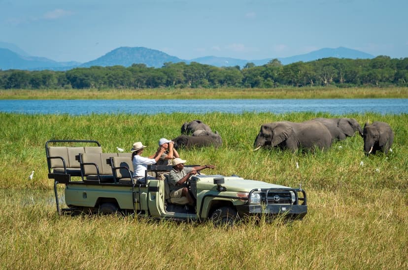 Safari jeep observing elephants grazing near a river with scenic mountain views in the background.