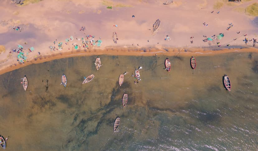 Aerial view of traditional wooden fishing boats and local fishermen along the shoreline of Lake Malawi.