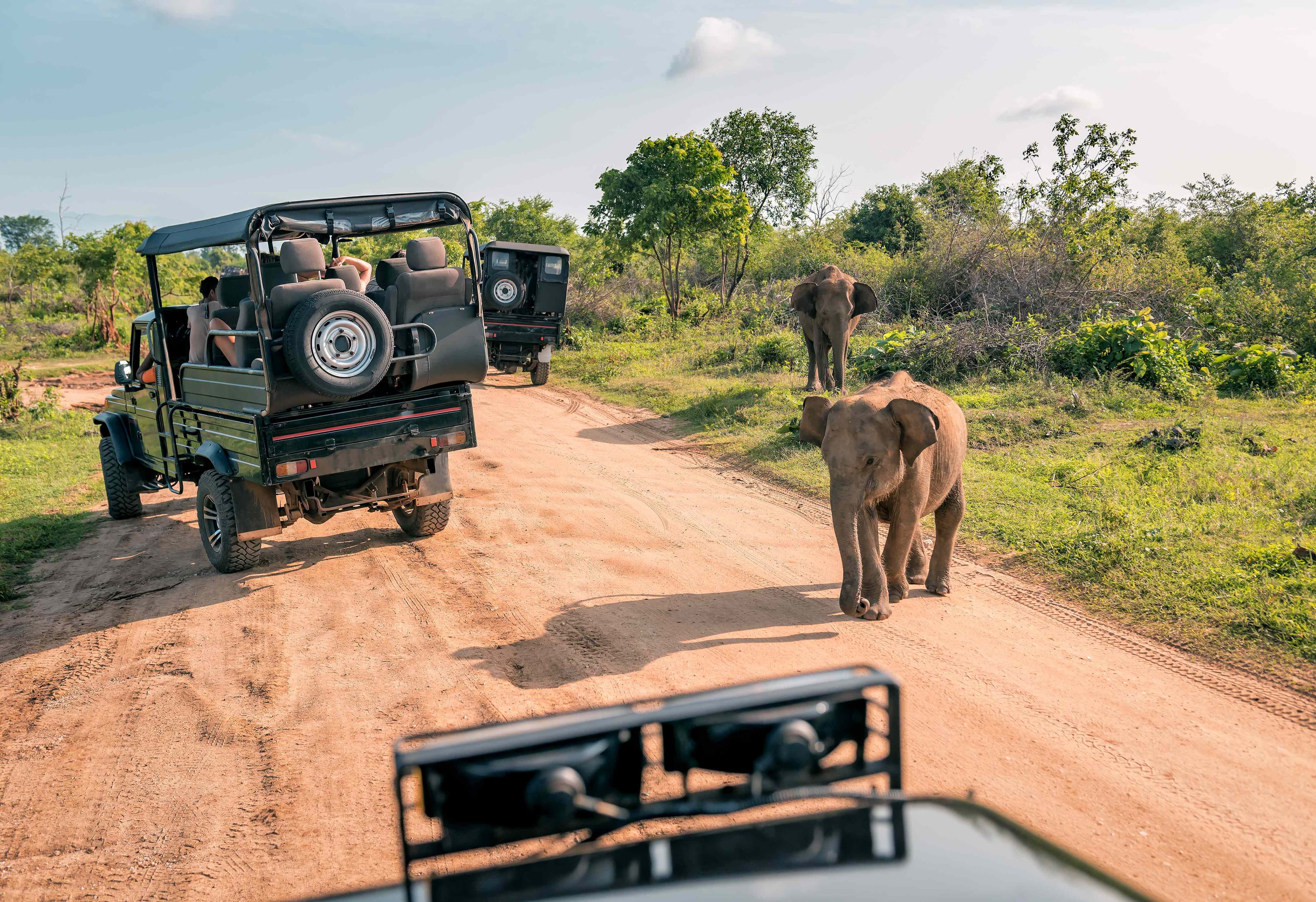 Wild Encounters Await in Malawi’s Safari Parks
