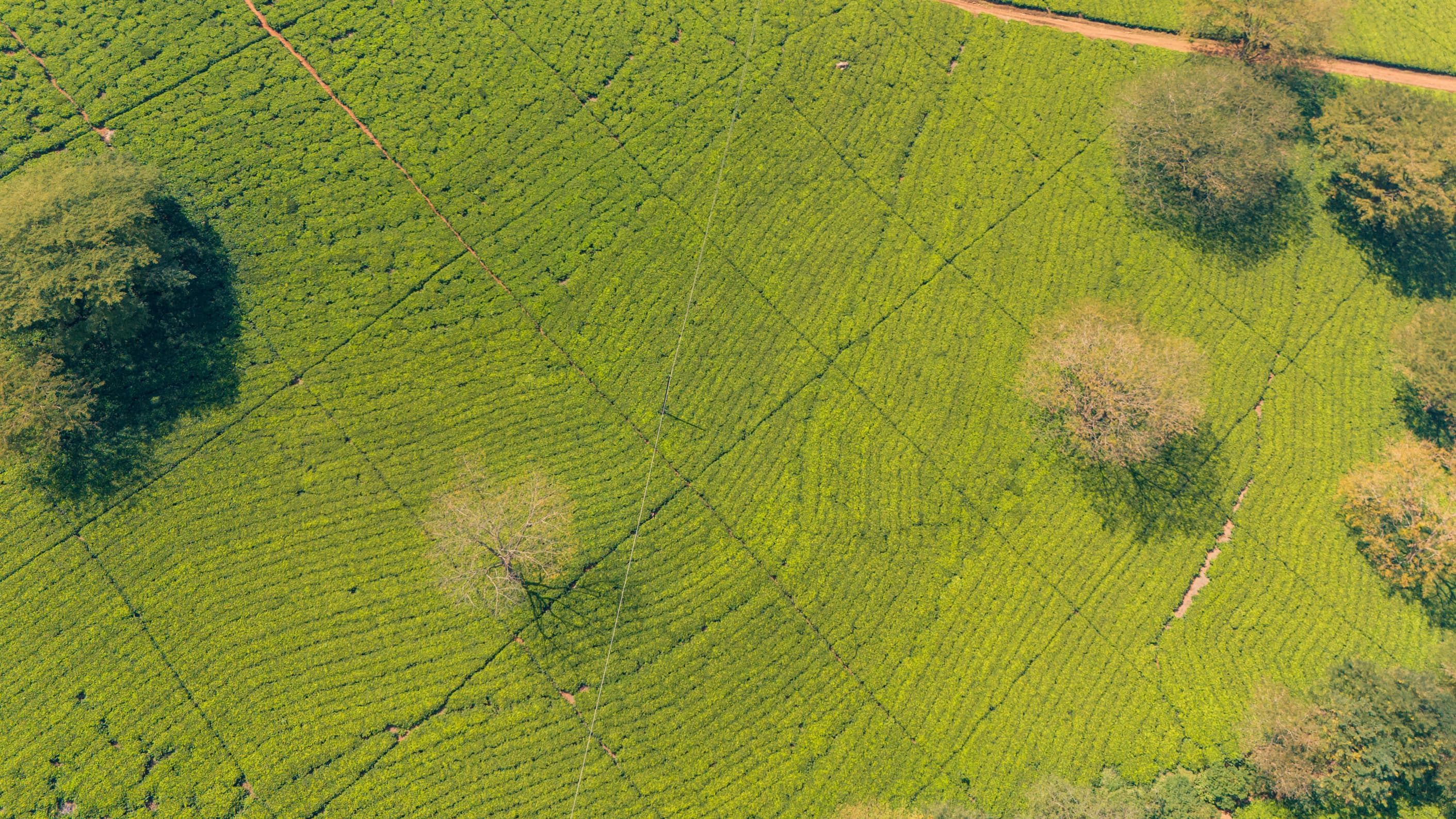 exp inner page content images