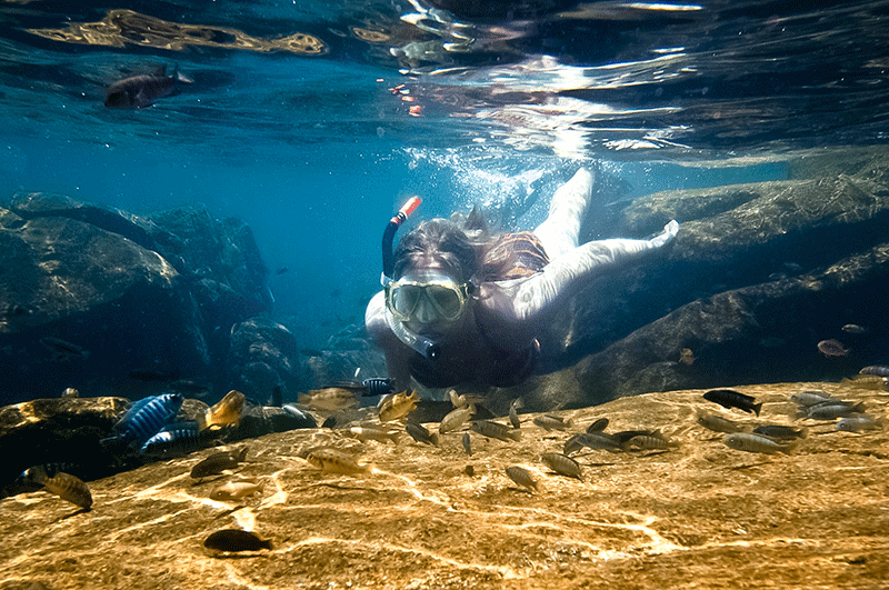 Person snorkeling underwater